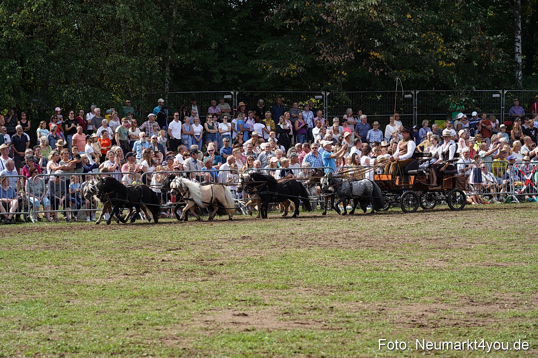 Pferde und Fohlenschau 2022 0305 
